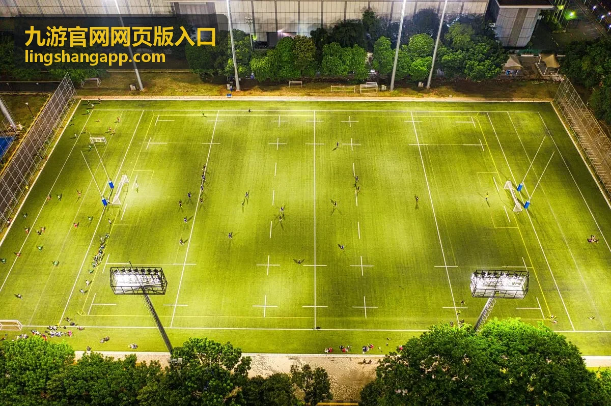 九游官网网页版入口的网页登录界面在浏览器中的展示效果