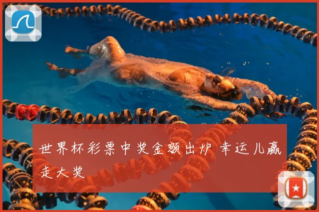世界杯彩票中奖金额出炉 幸运儿赢走大奖