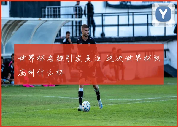 世界杯名称引发关注 这次世界杯到底叫什么杯