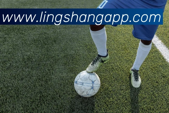 世界杯开户平台APP 封面图